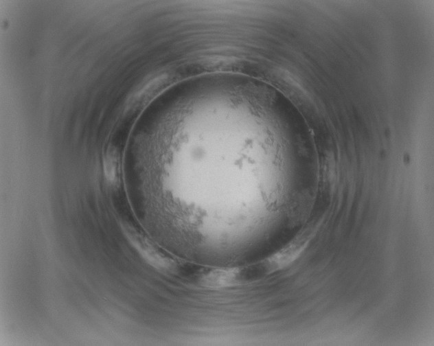 X0000061740138200512091620