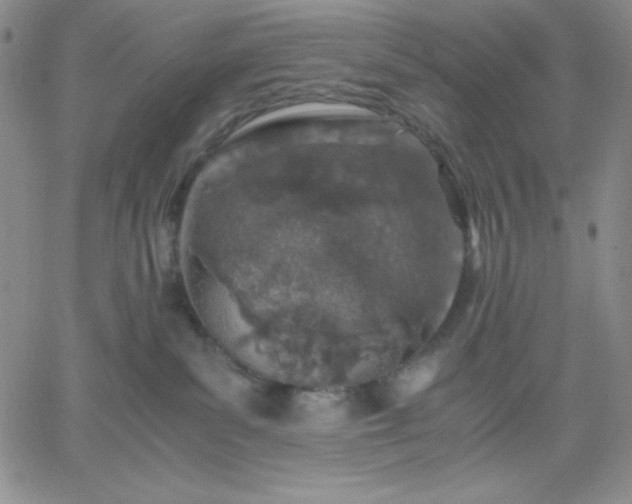 X0000061740139200512091620