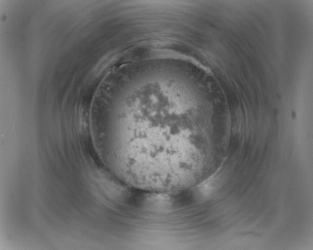 X0000061740140200512091620