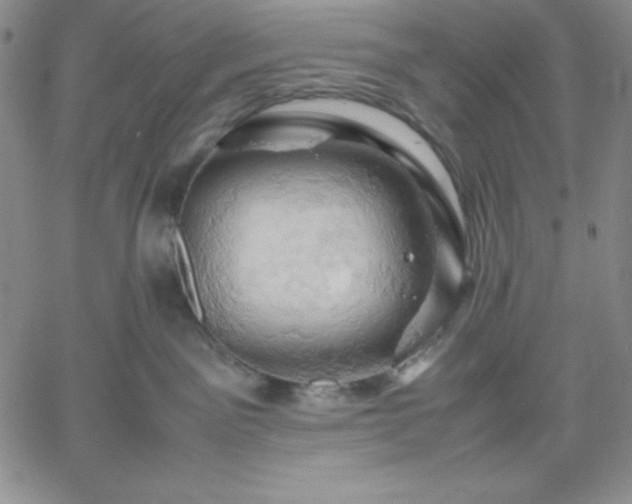 X0000061740141200512091620