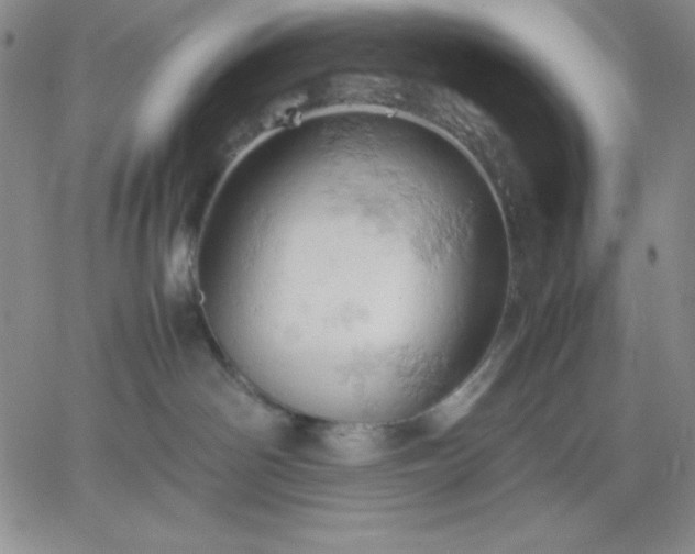 X0000061740142200512091620