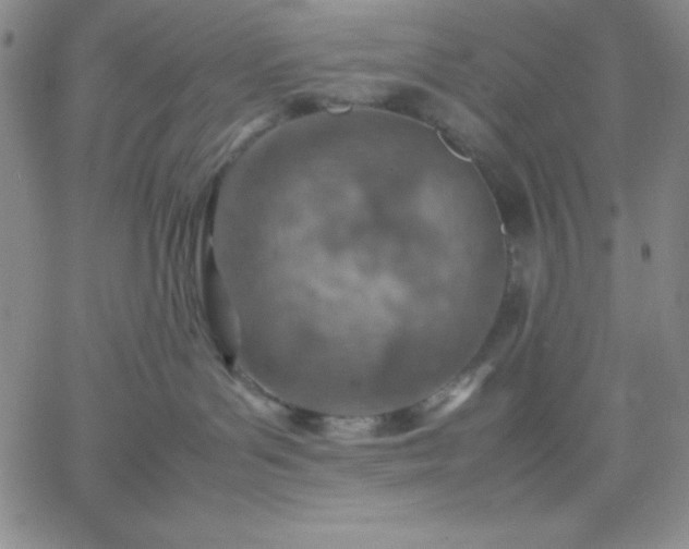 X0000061740143200512091620