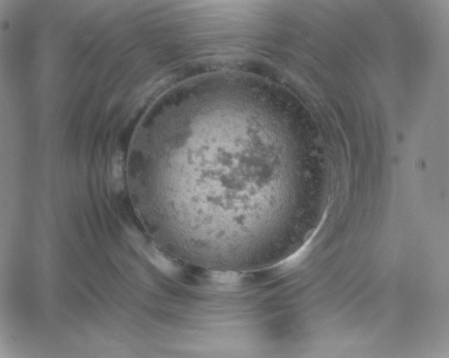 X0000061740144200512091620