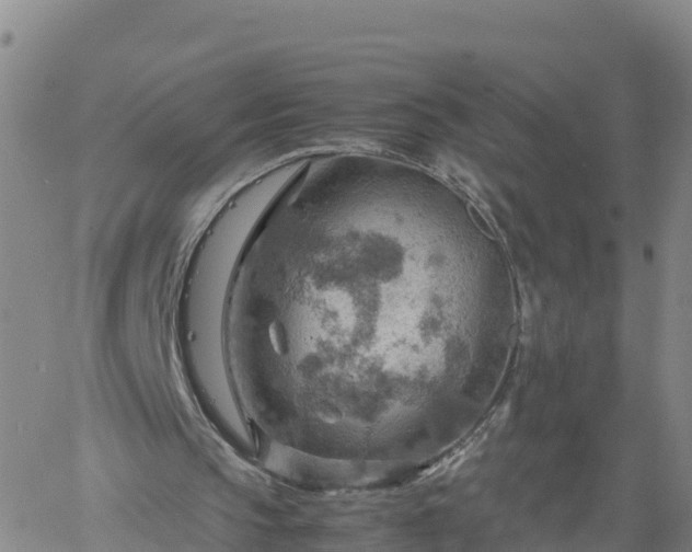 X0000061740145200512091619