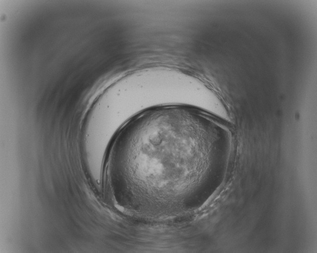 X0000061740146200512091619