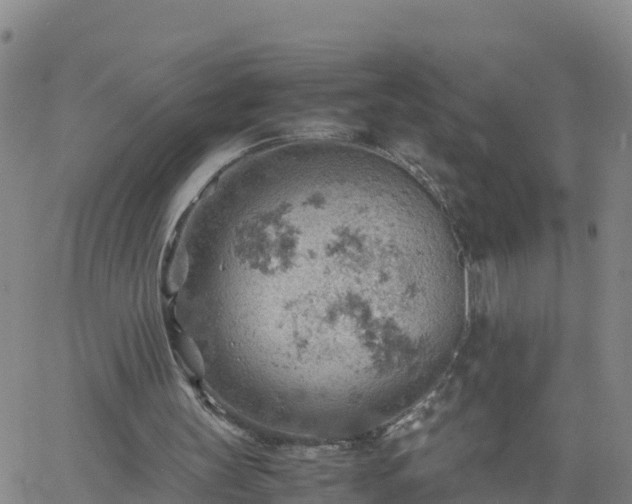 X0000061740147200512091619