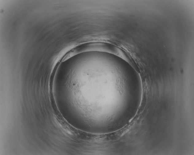 X0000061740148200512091619