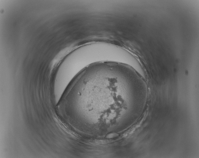 X0000061740149200512091619