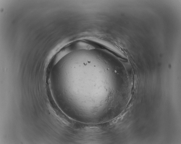 X0000061740150200512091619