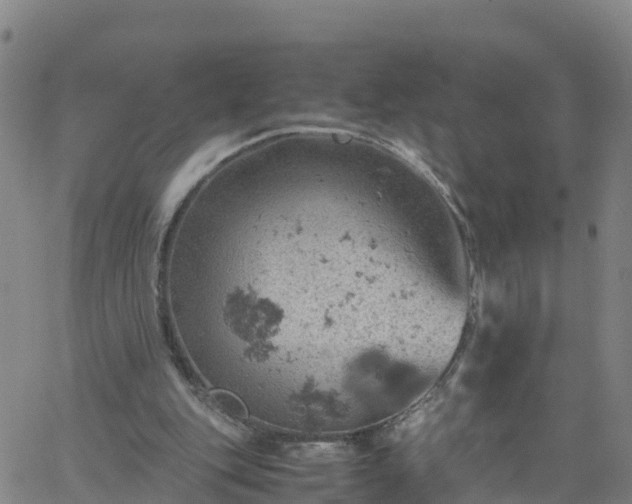 X0000061740151200512091619