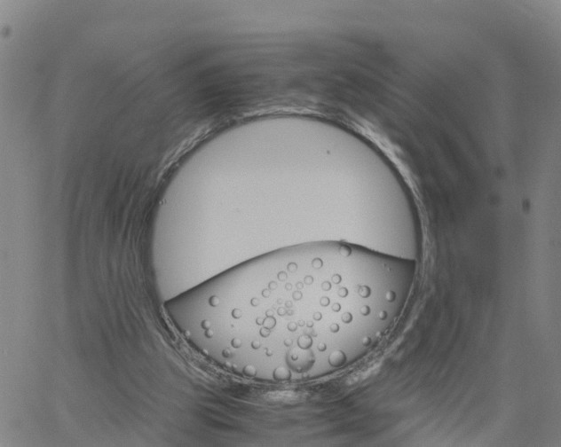 X0000061740153200512091619