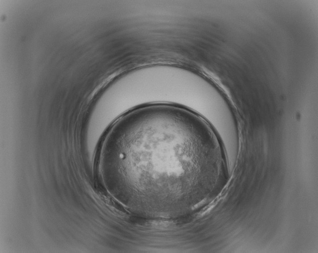 X0000061740154200512091619