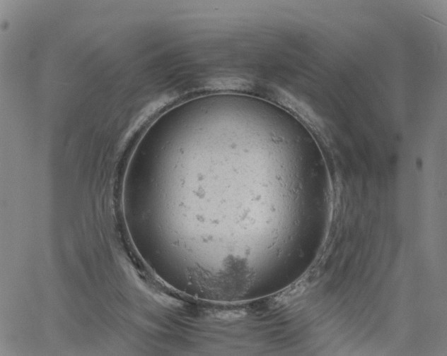 X0000061740155200512091619