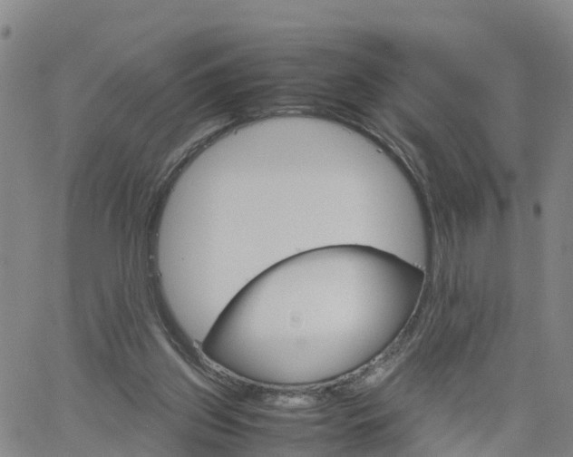 X0000061740157200512091619