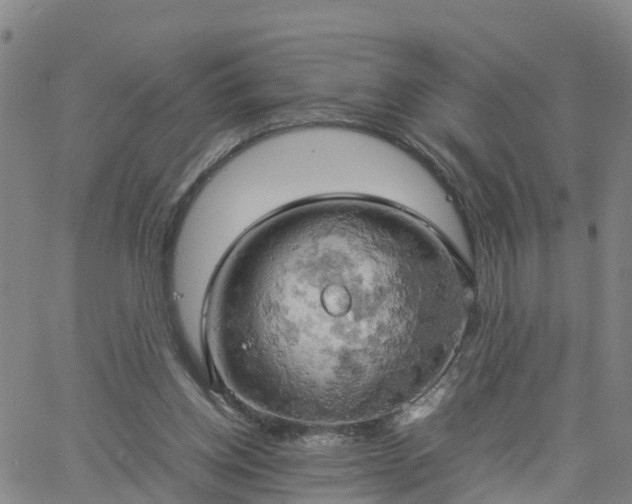 X0000061740158200512091619