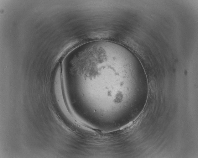 X0000061740159200512091619