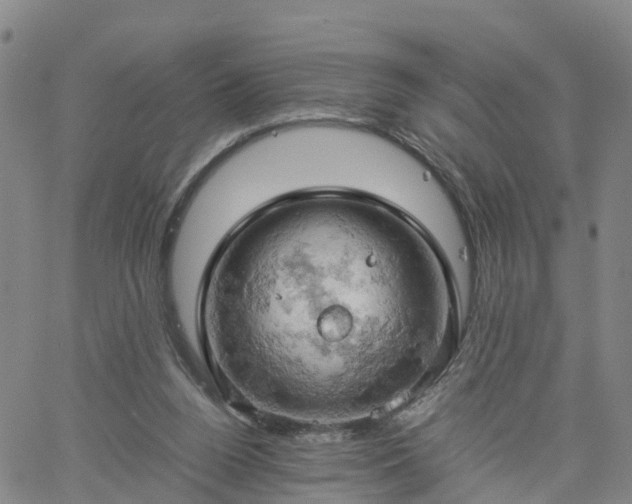 X0000061740160200512091619