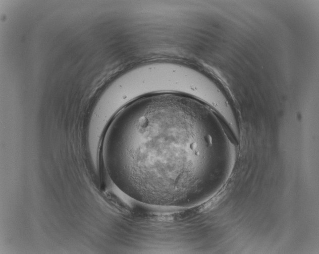 X0000061740162200512091619