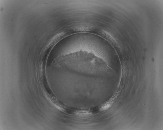 X0000061740163200512091619