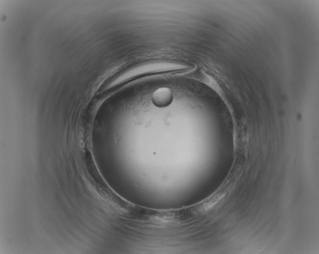 X0000061740164200512091619