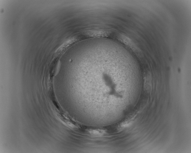 X0000061740165200512091619