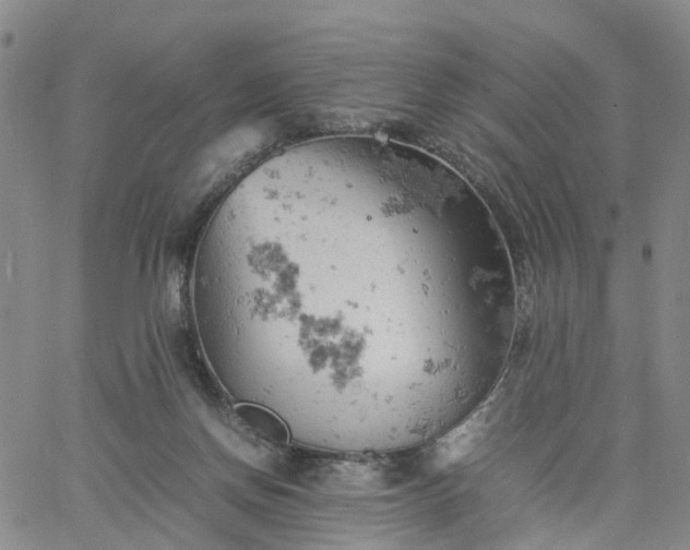 X0000061740166200512091619