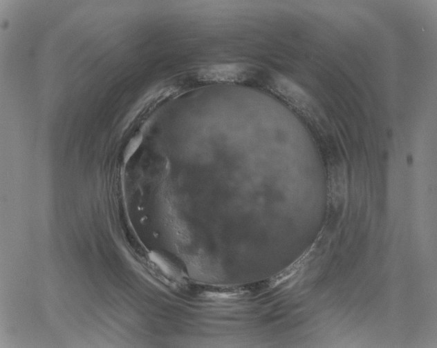 X0000061740167200512091619