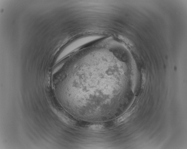 X0000061740168200512091619