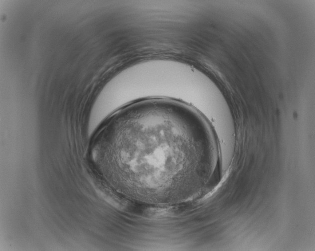 X0000061740170200512091619