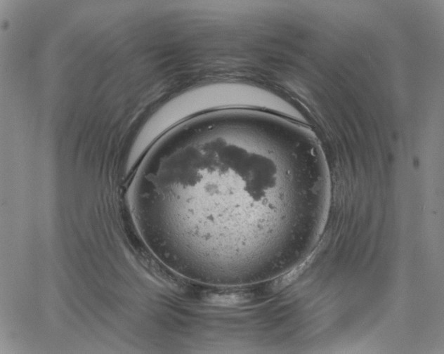 X0000061740171200512091619