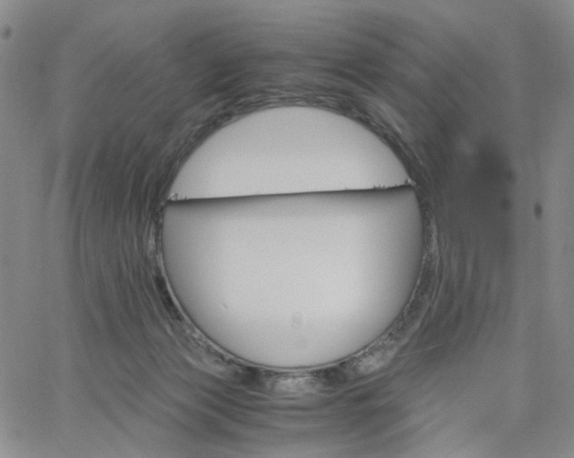 X0000061740173200512091619