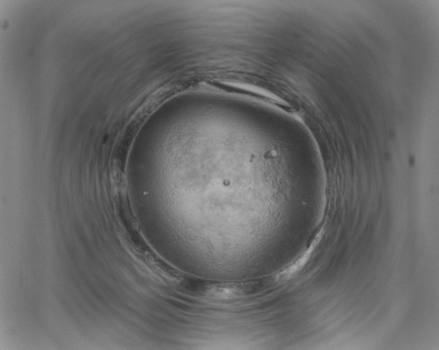 X0000061740174200512091619