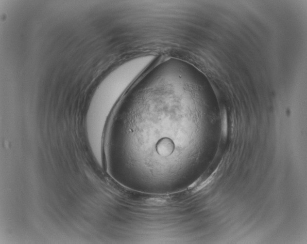 X0000061740176200512091619