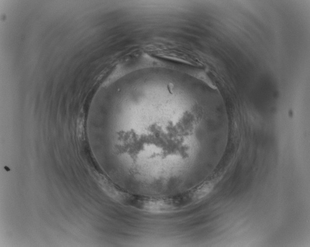 X0000061740177200512091619