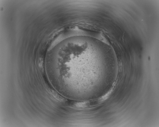 X0000061740178200512091619