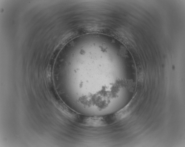 X0000061740179200512091619