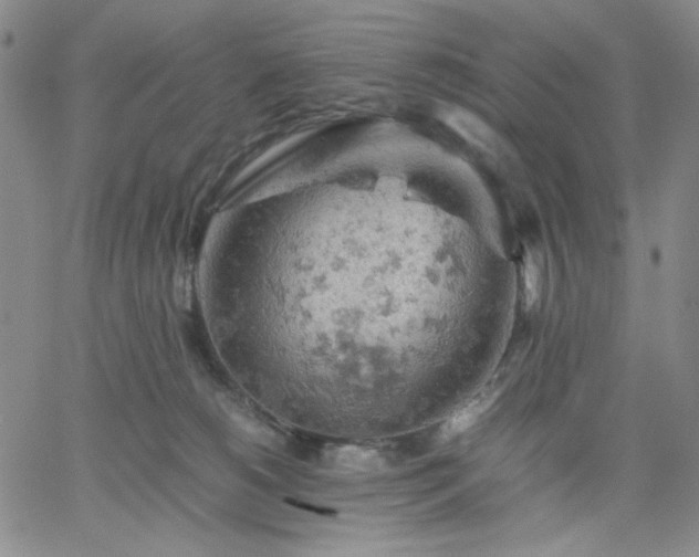 X0000061740180200512091620