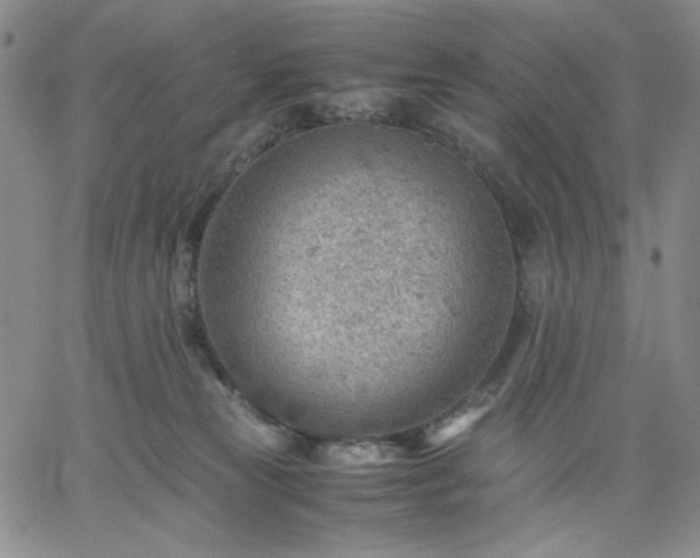 X0000061740181200512091620