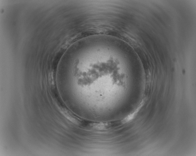 X0000061740182200512091620