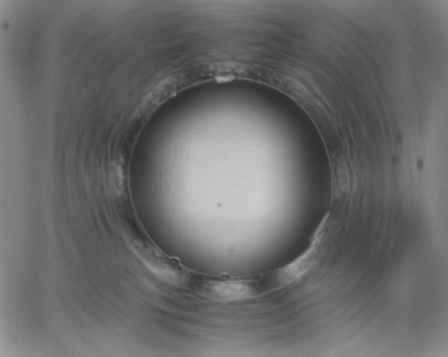 X0000061740183200512091620