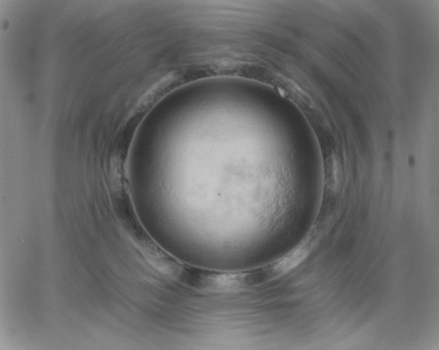 X0000061740184200512091620