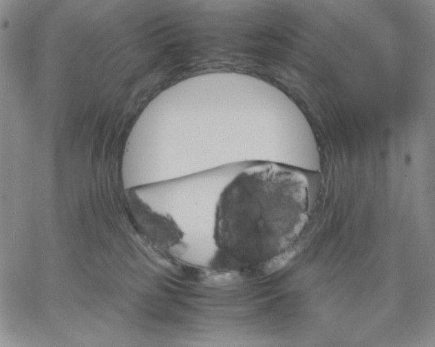 X0000061740185200512091620