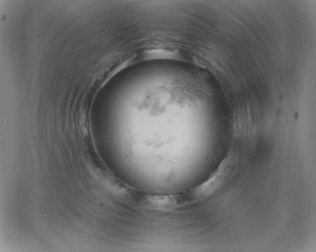 X0000061740187200512091620