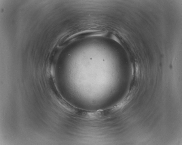 X0000061740188200512091620