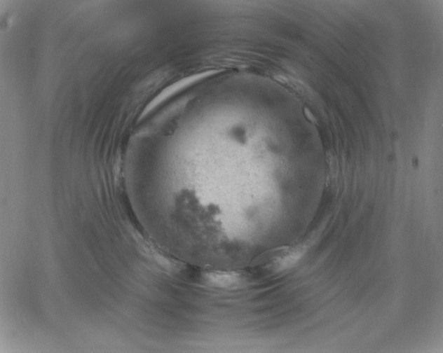 X0000061740189200512091620