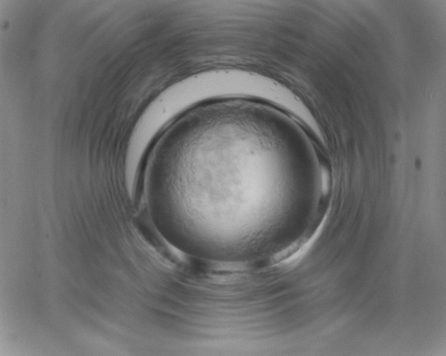 X0000061740190200512091620