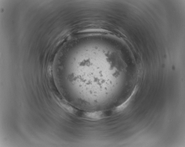 X0000061740191200512091620