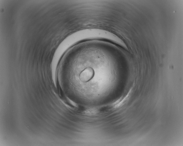 X0000061740192200512091620