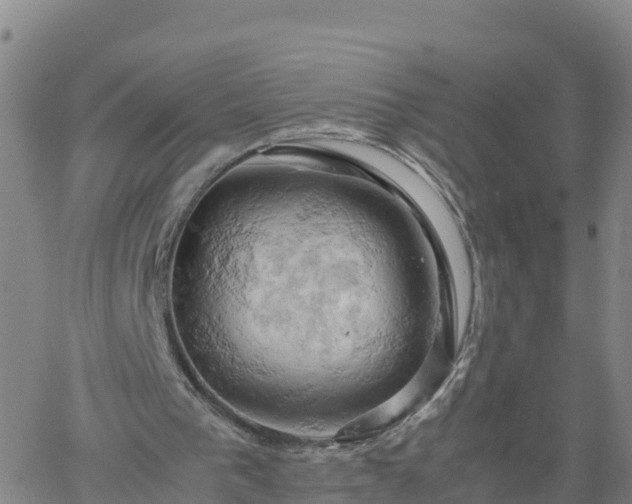 X0000061740193200512091619