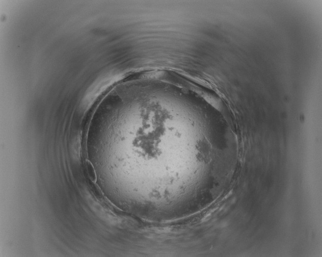 X0000061740194200512091619